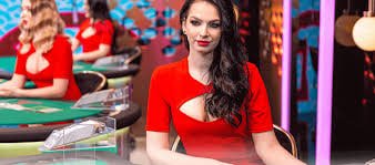 wpt global